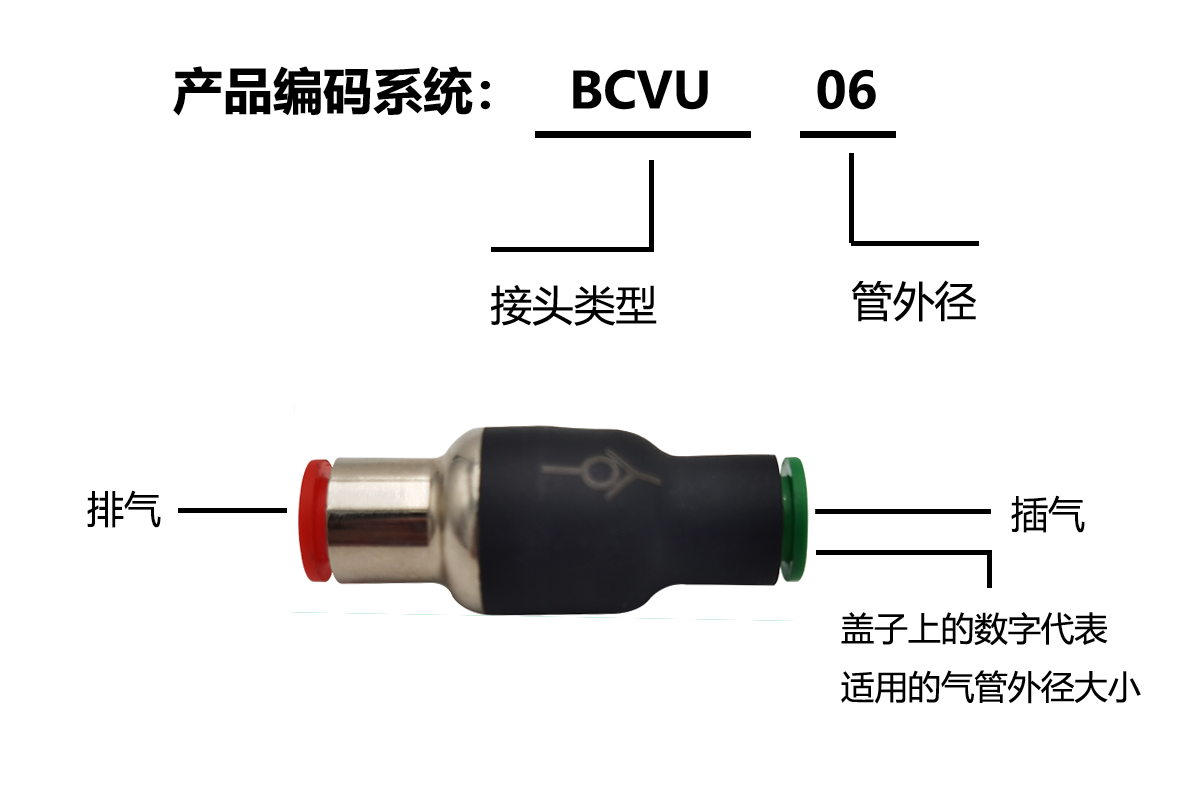 BCVU編碼系統