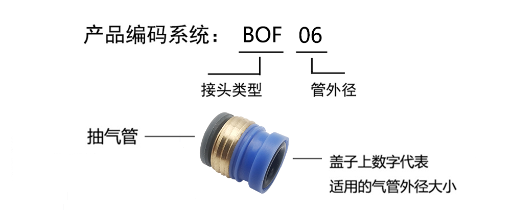 BOF産品編碼