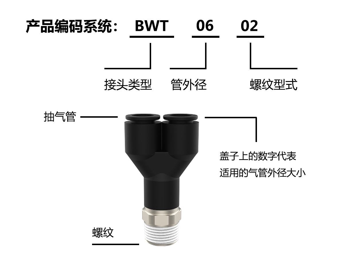 BWT編碼系統