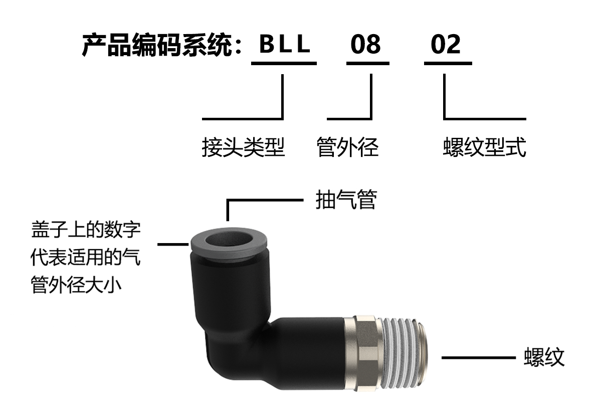 BLL編碼系統