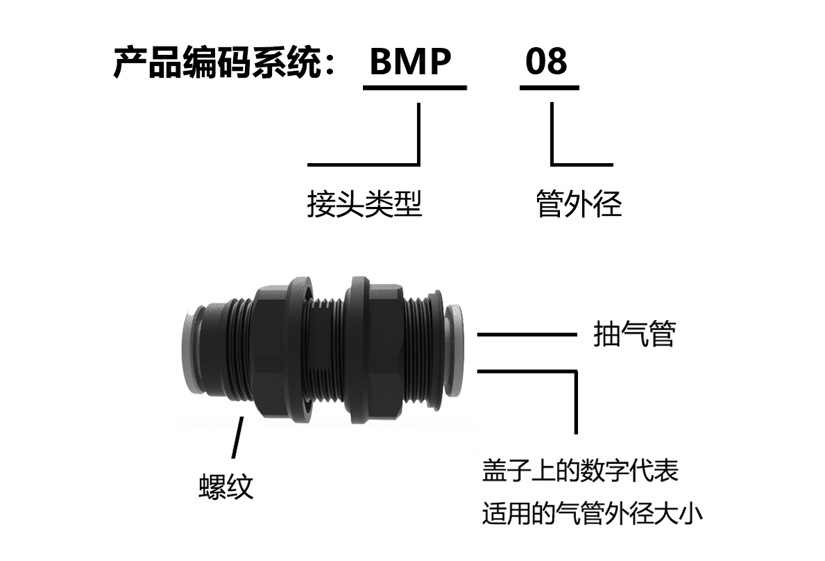 BMP編碼系統